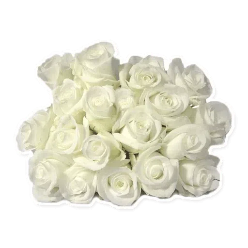 White Flowers @ykinanah- Sticker
