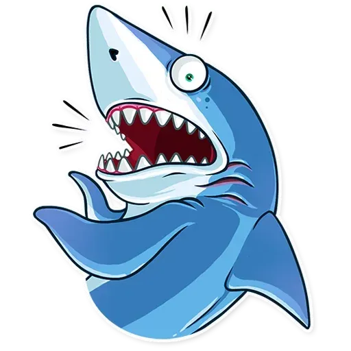 Shark - Sticker 3