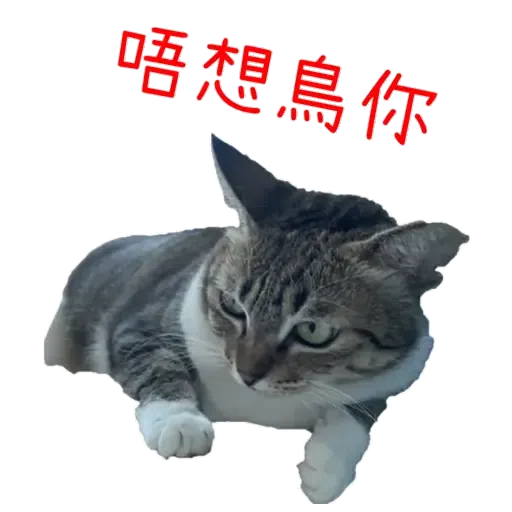 BuBu愛美麗 - Sticker 8