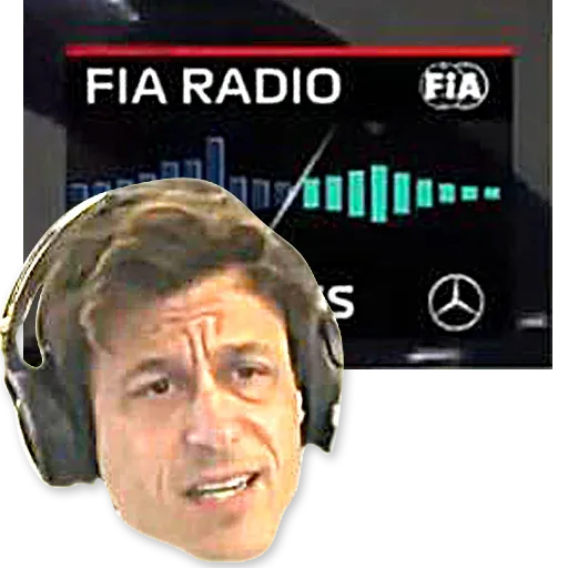 F1 Memes - Sticker 4