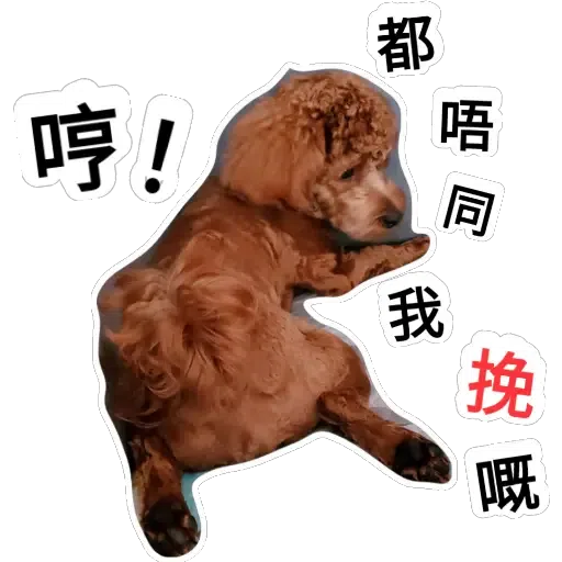 💗豆豆BB💗 - Sticker 7