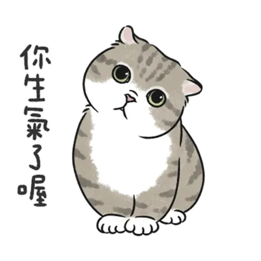 貓貓 - Sticker 4
