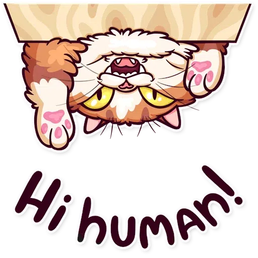 Meme Cats - Sticker 5